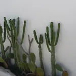 Corte Moline Bed and Breakfast