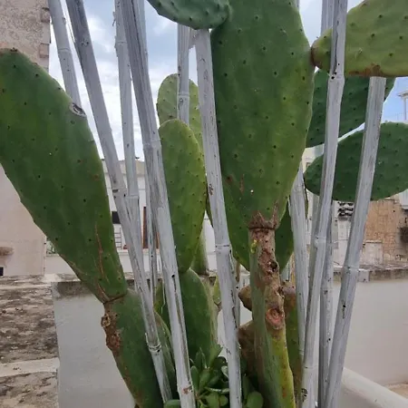 Oda ve Kahvaltı Corte Moline 3*