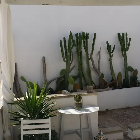 Corte Moline לינה וארוחת בוקר גאליפולי