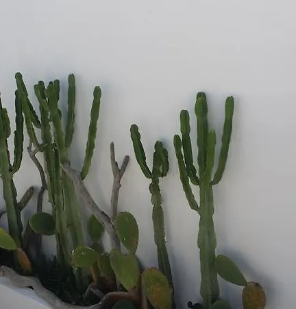 Corte Moline Alojamento de Acomodação e Pequeno-almoço