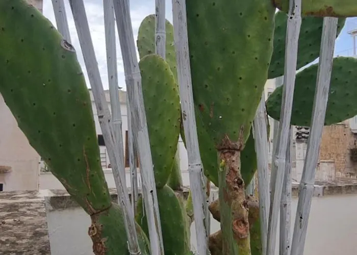 Bed & Breakfast Corte Moline 3*