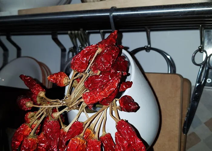 Corte Moline 3* Gallipoli