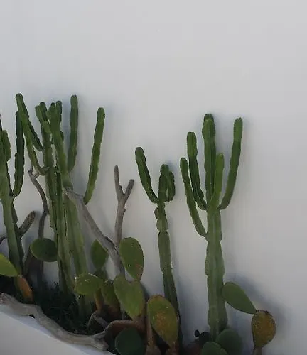 Corte Moline Bed & Breakfast